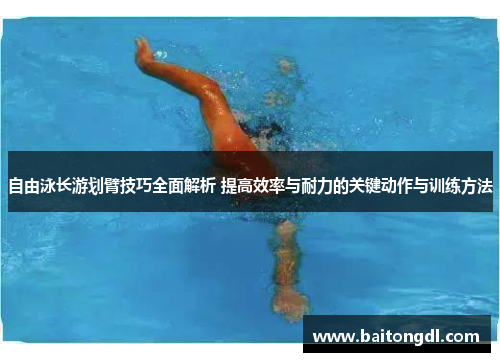 自由泳长游划臂技巧全面解析 提高效率与耐力的关键动作与训练方法